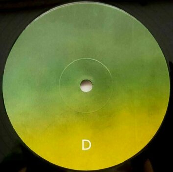 Vinyl Record Carbon Based Lifeforms - Twentythree (2 LP) - 5