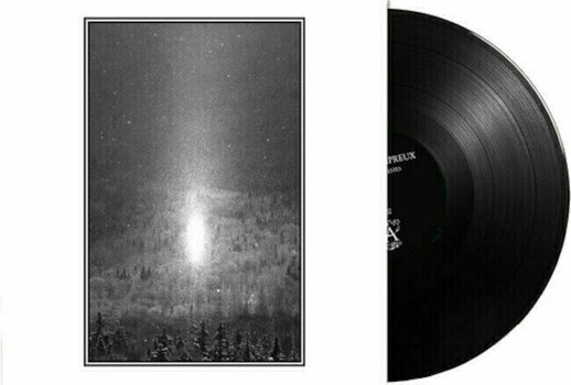 Vinyl Record Cantique Lepreux - Cendres Celestes (LP) - 2