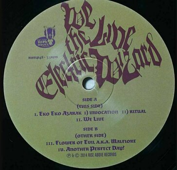 Disco de vinil Electric Wizard - We Live (2 LP) - 2