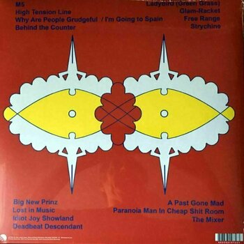 Vinylskiva The Fall - Frankfurt 1993 (2 LP) - 4
