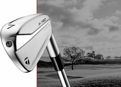 Golfschläger - Eisen TaylorMade P790 2021 Irons Steel Right Hand 4-PW Regular - 5