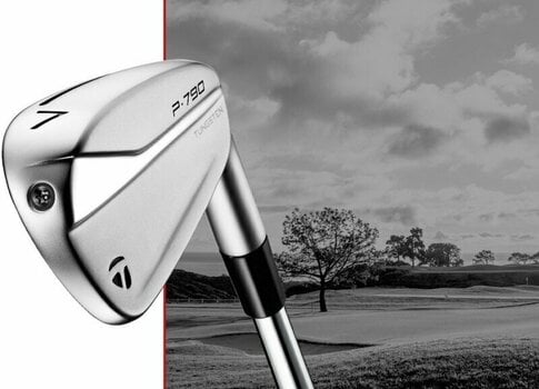 Golf palica - železa TaylorMade P790 2021 Irons Graphite Right Hand 4-PW Regular - 5