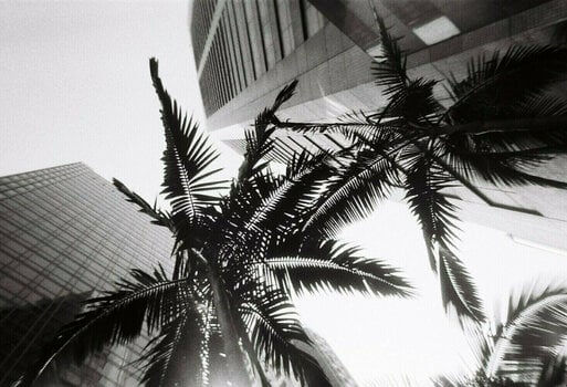 Classic camera Lomography Simple Use Film Camera Black and White - 6