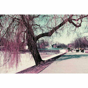 Film Lomography LomoChrome Purple XR 100-400 ASA Single Pack Film - 3