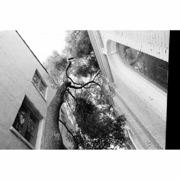 Film Lomography Berlin Kino B&W ISO 400 2019 Formula Film - 2