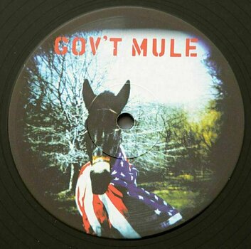 Vinyl Record Govt Mule - Govt Mule (2 LP) - 2