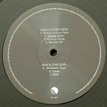 Vinyl Record Govt Mule - Govt Mule (2 LP) - 3