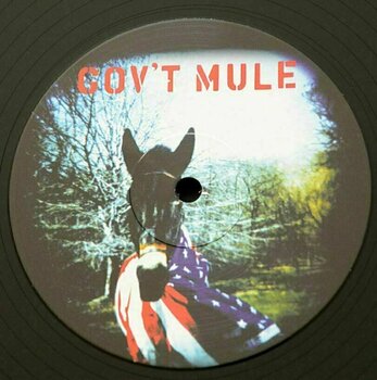 Vinyl Record Govt Mule - Govt Mule (2 LP) - 4