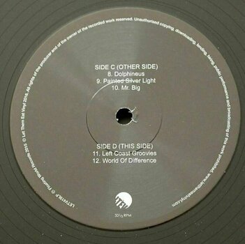 Vinyl Record Govt Mule - Govt Mule (2 LP) - 5