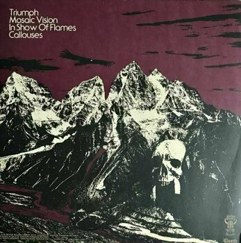 Vinylplade Haunt - Mosaic Vision (LP) - 2