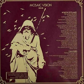 Vinylplade Haunt - Mosaic Vision (LP) - 3