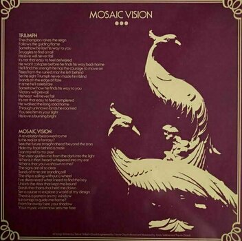 Płyta winylowa Haunt - Mosaic Vision (LP) - 4