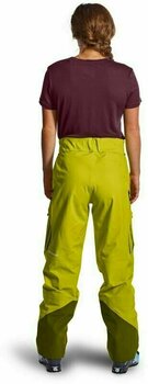 Pantalons de ski Ortovox 3L Deep Shell W Pacific Green M - 8