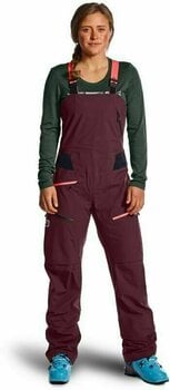 Pantalones de esquí Ortovox 3L Deep Shell Bib W Green Pine M - 7