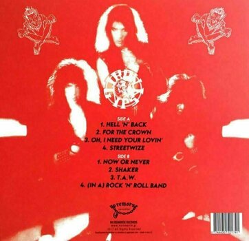 Vinyl Record Iron Gypsy - Iron Gypsy (LP) - 2