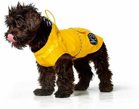 round wicker dog bed