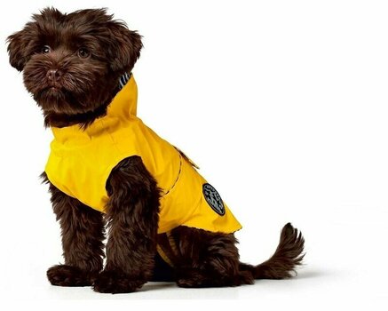 hunter dog raincoat
