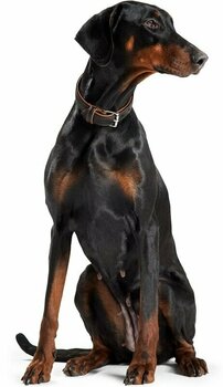Guler Hunter Canadian Guler Black/Cognac S Guler - 3