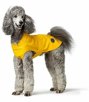 standard poodle raincoat