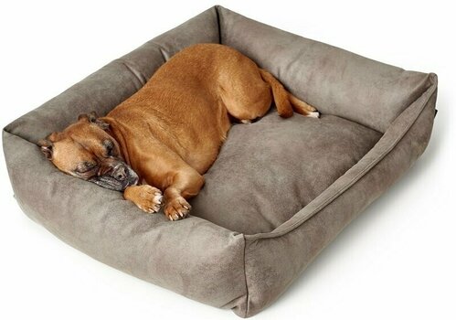hunter dog bed