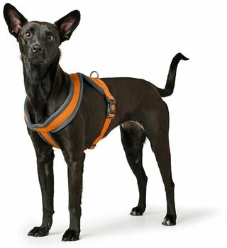 Ham Hunter London Comfort Valorifica Orange S/M-52 - 62 cm Ham - 6