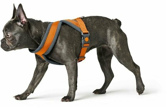 Ham Hunter London Comfort Valorifica Orange S/M-52 - 62 cm Ham - 7