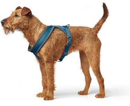 Ham Hunter London Comfort Valorifica Albastru închis S/M-52 - 62 cm Ham - 6