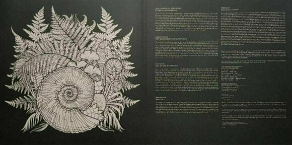 Vinyl Record The Ocean - Phanerozoic I: Palaeozoic (LP) - 7