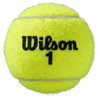 Tennisbälle Wilson Roland Garros Clay Court Tennis Ball 4 - 3