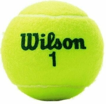 Tennisbälle Wilson Roland Garros Tennis Ball 3 - 3