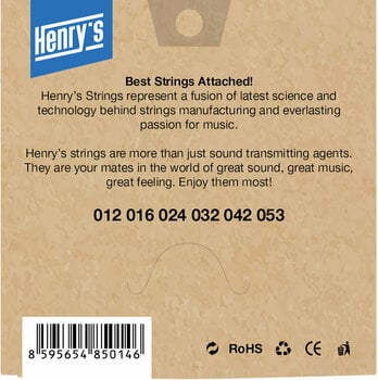 Struny pre akustickú gitaru Henry's Phosphor 12-53 Struny pre akustickú gitaru - 2