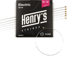 Snaren voor elektrische gitaar Henry's Nickel 09-42 Snaren voor elektrische gitaar - 2