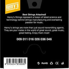 Snaren voor elektrische gitaar Henry's Nickel 09-46 Snaren voor elektrische gitaar - 1