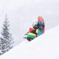 Snösurfing Hamax Free Surfer Design Monster Snösurfing - 1