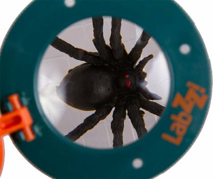 Accessoires voor microscopen Levenhuk LabZZ C1 Accessoires voor microscopen - 6