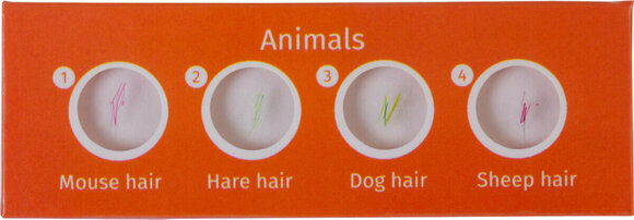 Microscope Accessories Levenhuk LabZZ C12 Creatures - 2