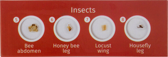 Microscope Accessories Levenhuk LabZZ C12 Creatures - 3