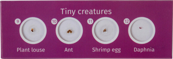 Microscope Accessories Levenhuk LabZZ C12 Creatures - 4