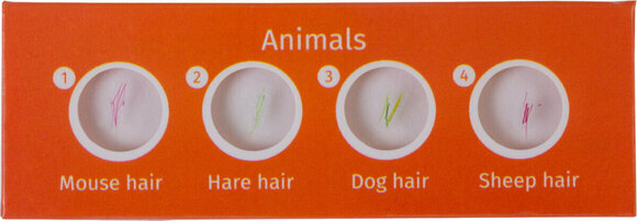 Microscope Accessories Levenhuk LabZZ CP24 Creatures & Plants - 2