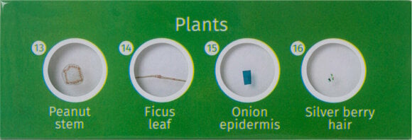 Microscope Accessories Levenhuk LabZZ CP24 Creatures & Plants - 5