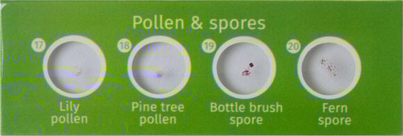 Microscope Accessories Levenhuk LabZZ CP24 Creatures & Plants - 6