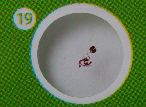 Microscope Accessories Levenhuk LabZZ CP24 Creatures & Plants - 10