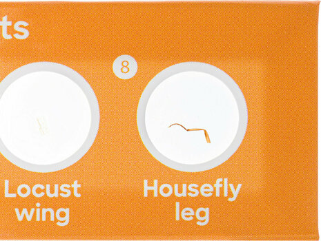 Microscope Accessories Discovery Fauna 12 - 5