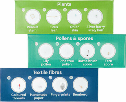 Microscope Accessories Discovery Flora 12 - 3