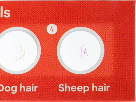 Microscope Accessories Discovery Flora & Fauna 24 - 4