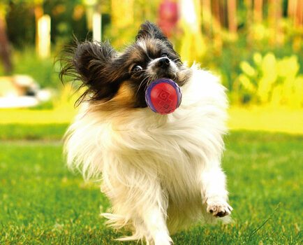 Juguete GiGwi Ball with Squeaker Pelota para Perros L Juguete - 3