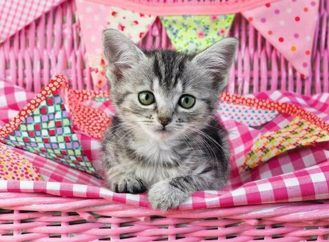 Παζλ Ravensburger Cute Kitten 100 pcs - 2