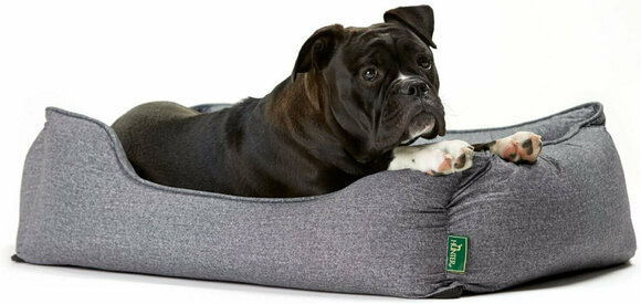 leesa dog bed