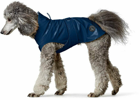 standard poodle raincoat