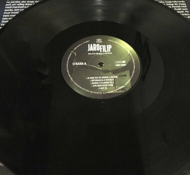 Vinyl Record Jaroslav Filip - Ten Čo Hrával S Dežom (Reissue) (Remastered) (LP) - 4
